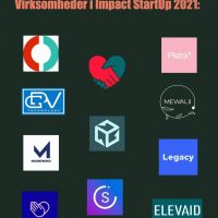 11 sociale iværksættere er udvalgt til Impact StartUp 2021, hvor de får hjælp til at udfolde sine sociale forretningsmodeller og får mulighed for at blive matchet med en impact investor.